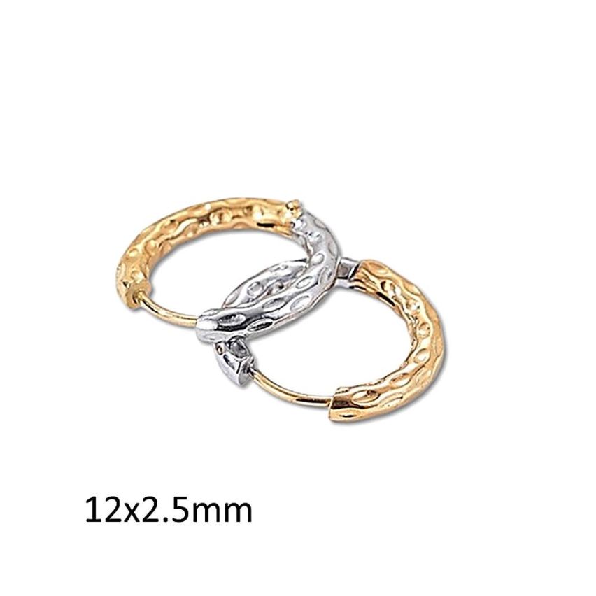 S.Steel Two plating color Hoop (Standard) Women-c